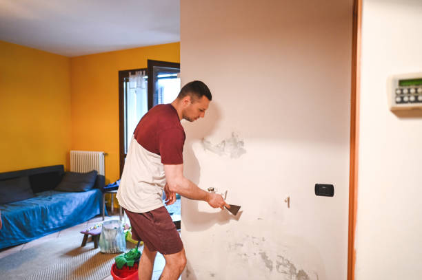  Lexington, WA Mold Removal Pros