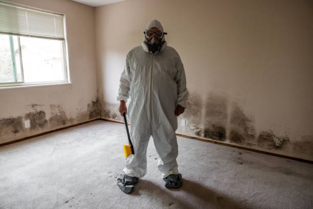 Best Same-Day Mold Removal  in Lexington, WA